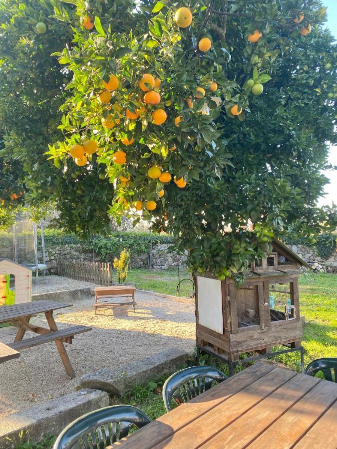 Apartment Quinta De Areias Crespos Екстериор снимка