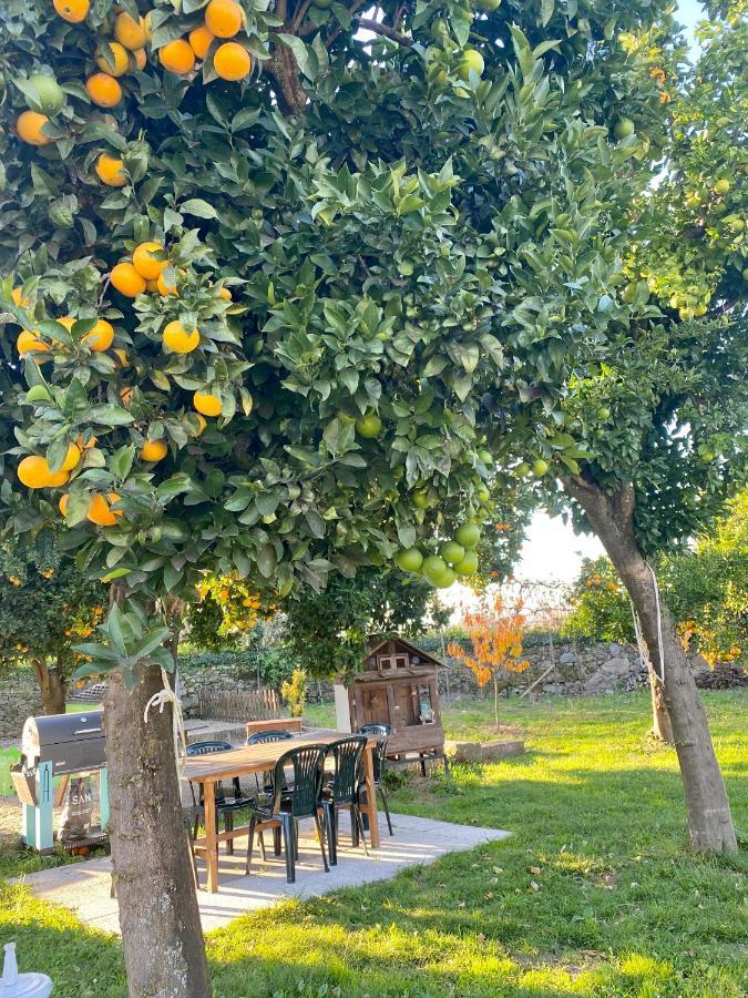 Apartment Quinta De Areias Crespos Екстериор снимка